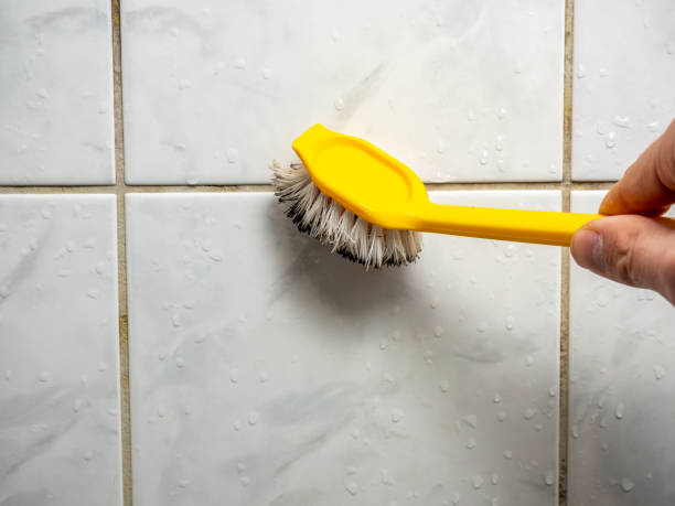Best Post-Flood Mold Remediation in Belville, NC