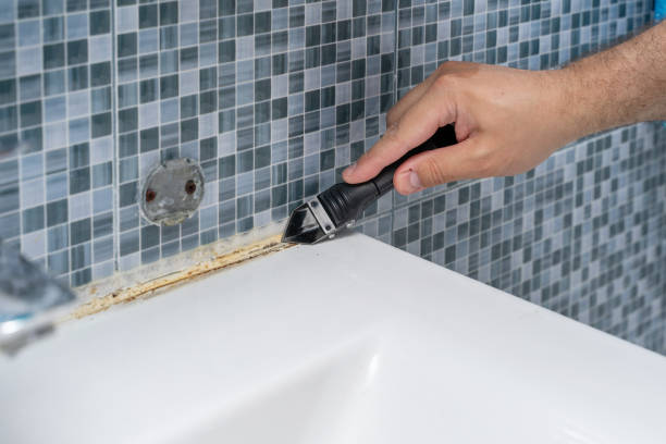 Best Black Mold Remediation in Belville, NC